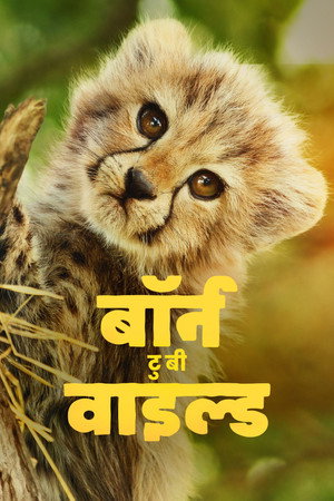 बॉर्न टु बी वाइल्ड