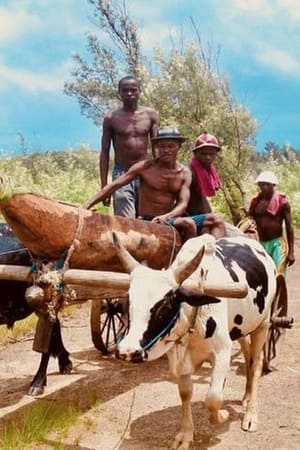 Image Coups de hache pour une pirogue