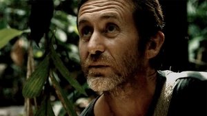 Tawai: A Voice from the Forest (2017)