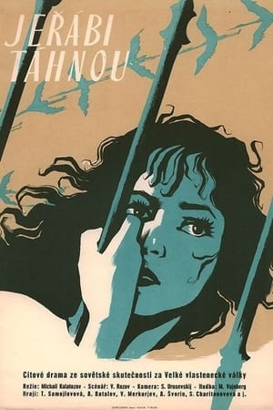 Poster Jeřábi táhnou 1957