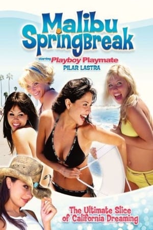 Poster Malibu Spring Break 2003