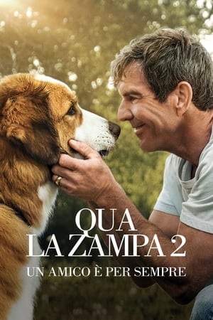 Image Qua la zampa 2 - Un amico è per sempre