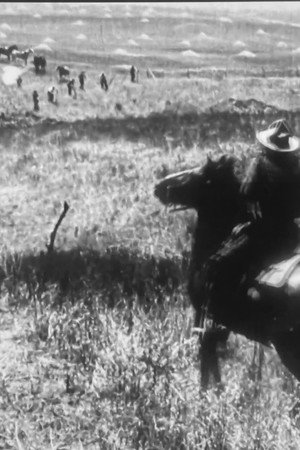 The Spirit of the Range