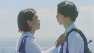 kimi no Koto Dake Mite Itai: 1×1