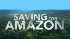 Image Saving The Amazon