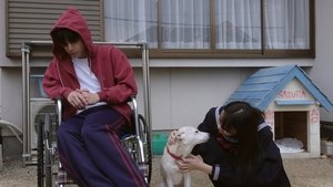 Sakura English subtitle | 2020 | Japanese movie