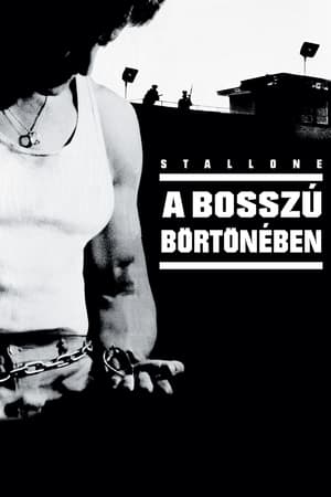 Poster A bosszú börtönében 1989