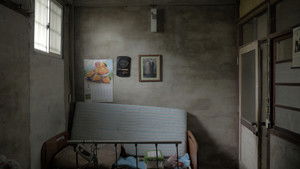 The Paperflower Still Blooms