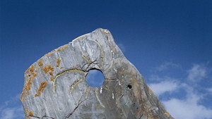 The Wind Blows Wherever It Wants