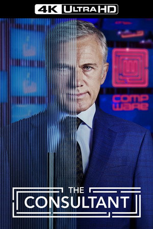 The Consultant 29