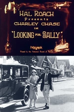 Looking for Sally poster