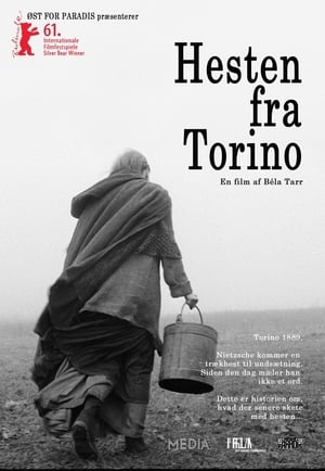 Poster Hesten Fra Torino 2011