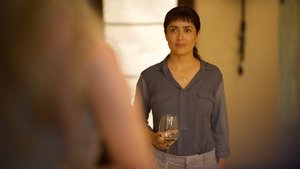 Beatriz at Dinner (2017)