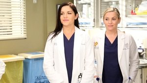 Grey’s Anatomy 13 x Episodio 13