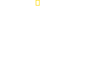 Hitler's Battle Against the Press