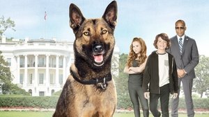 Max 2: El héroe de la Casa Blanca (2017)