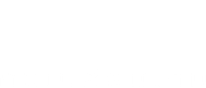 Concussion — Logos 7