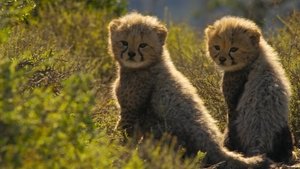 New Kids in the Wild: 1×3