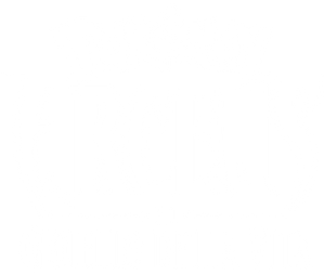 Pokémon: Arceus e a Jóia da Vida — Logos 3