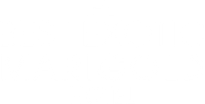 The Best Exotic Marigold Hotel