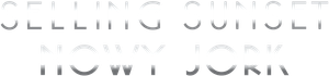 Nova York à Venda — Logos 9