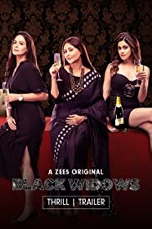 Black Widows S01 2020 Zee5 Web Series Hindi WebRip All Episodes 90mb