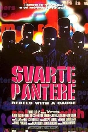 Svarte pantere film complet