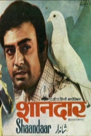 Poster Shandaar 1974