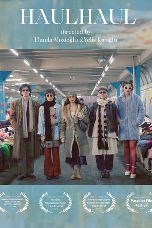 Póster oficial de la película HAULHAUL