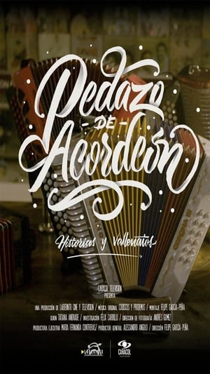 Poster ‘Pedazo de acordeón’, un viaje a través de la historia del vallenato 2019