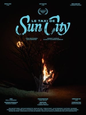 Poster Le taxi de Sun City 2020