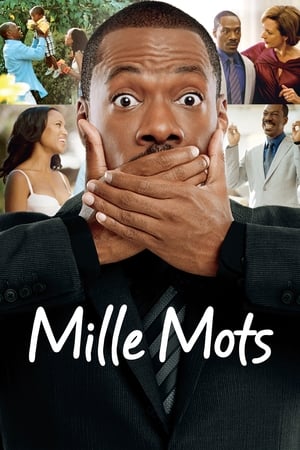 Poster Mille mots 2012