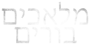 The Ignorant Angels — Logos 8