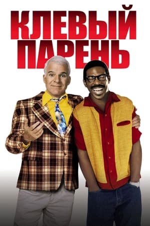 Poster Клёвый парень 1999