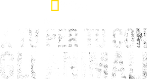 Animals Up Close with Bertie Gregory — Logos 3