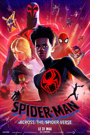 Image Spider-Man : Across the Spider-Verse