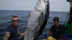 Wicked Tuna Too Close to Call