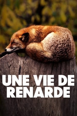 Image Une vie de renarde