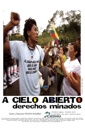 Poster di A cielo abierto, derechos minados