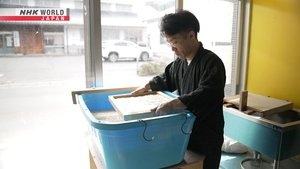 Journeys in Japan: 13×11