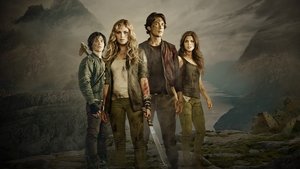 poster The 100