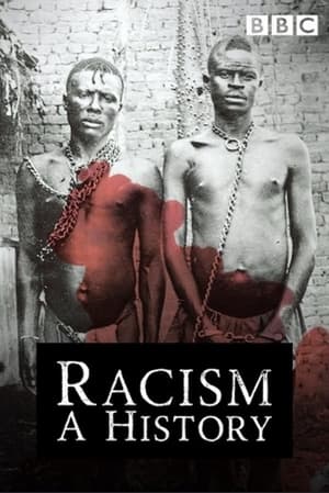 Image Racism: A History