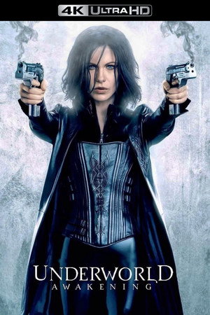 Постер фильма «Другой мир: Пробуждение (2012)» — (20 из 58)