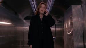 The X-Files:- S3:E10