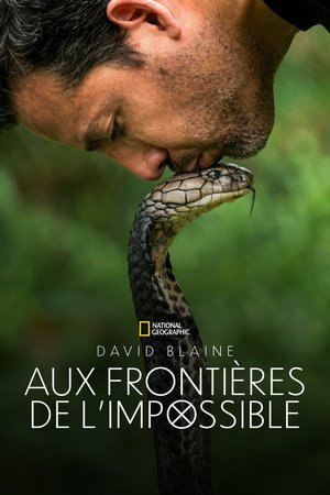 Saison 1