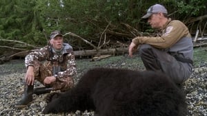 MeatEater Up at the Cabin: Prince of Wales Island Black Bear with Paul Neess