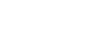 Nina — logo