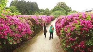 Journeys in Japan: 12×21