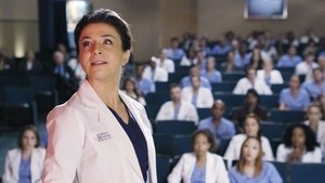 Grey’s Anatomy 11 x Episodio 13