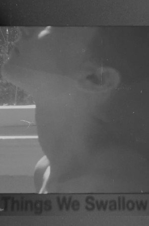 Things We Swallow (2024)